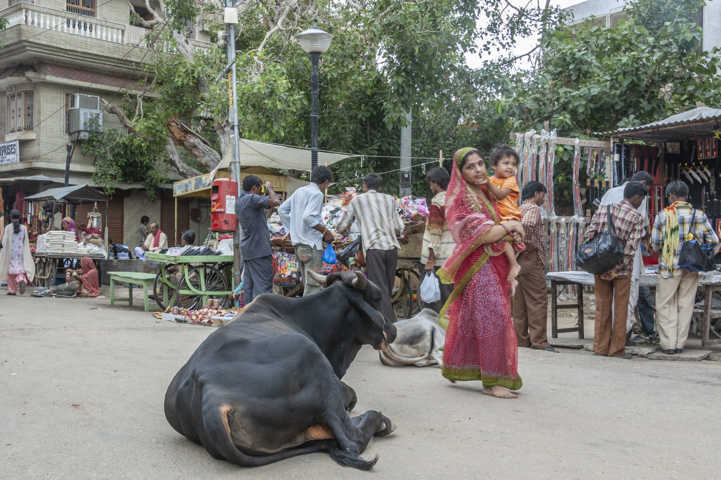 35 - India - Pushkar